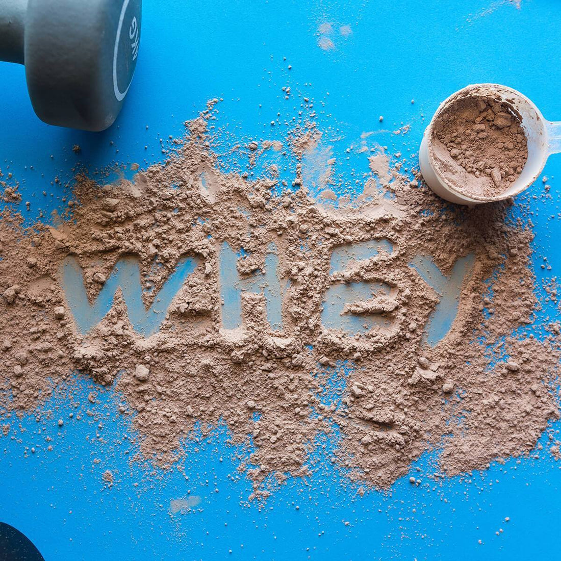 Yes Whey or No Whey? Demystifying Plant-Based & Whey Proteins – Country  Archer Provisions