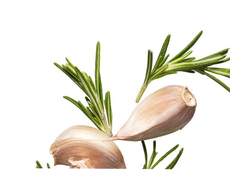 Herbs and Garlic