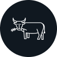 Grass-Fed Cow Logo